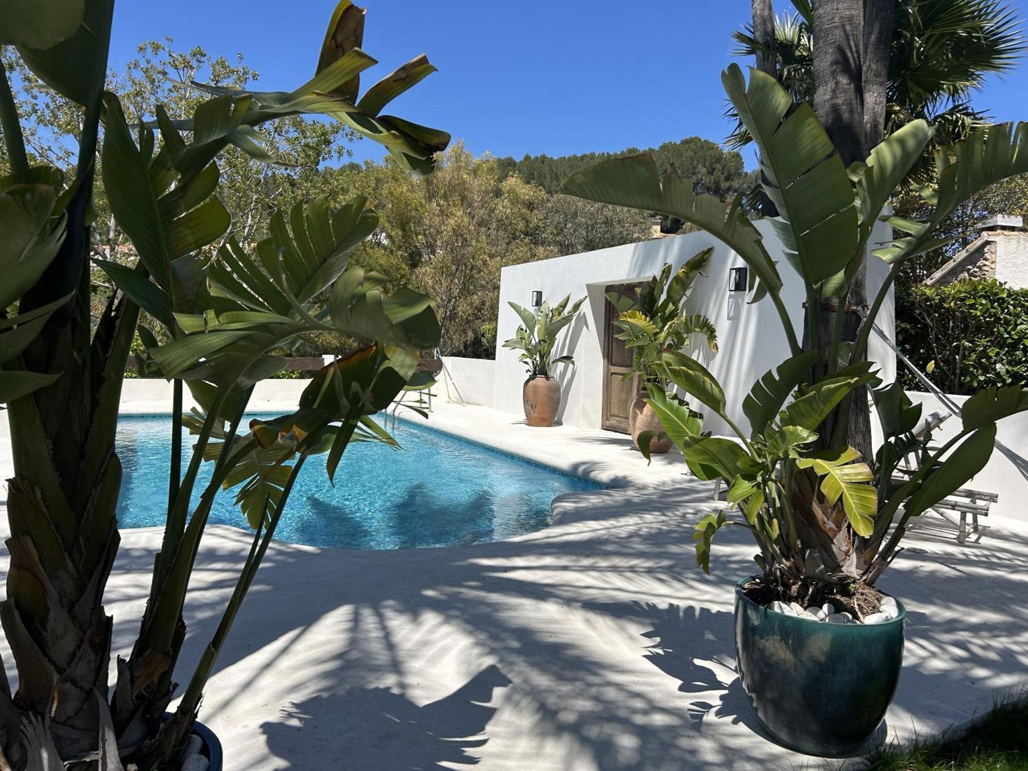 Villa Enri Villa Y Casita Con Piscina Y Jacuzzi Parcent المظهر الخارجي الصورة